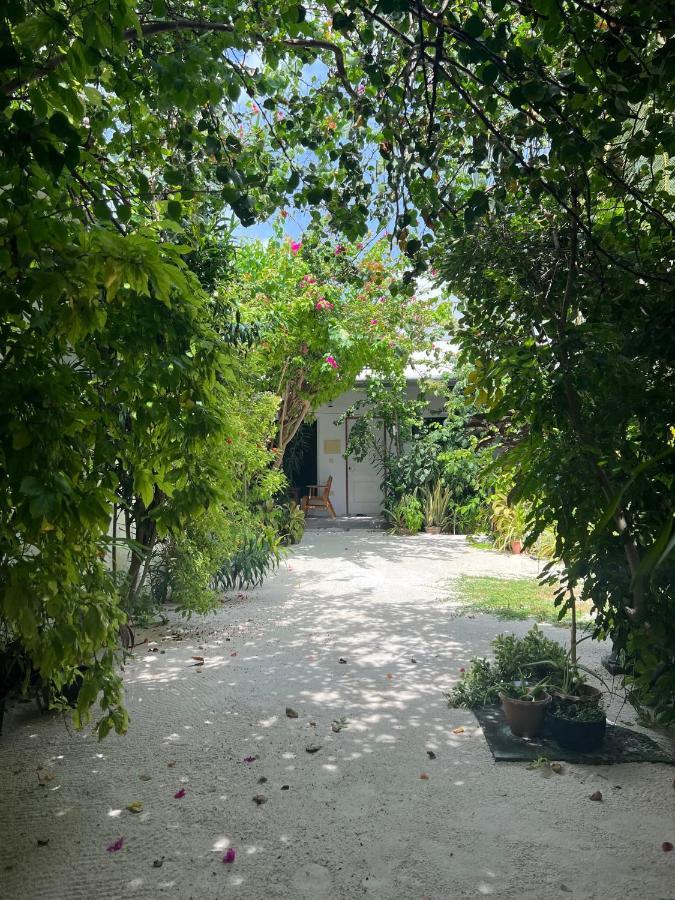 Lagoon Villa Maldives Thoddoo Esterno foto