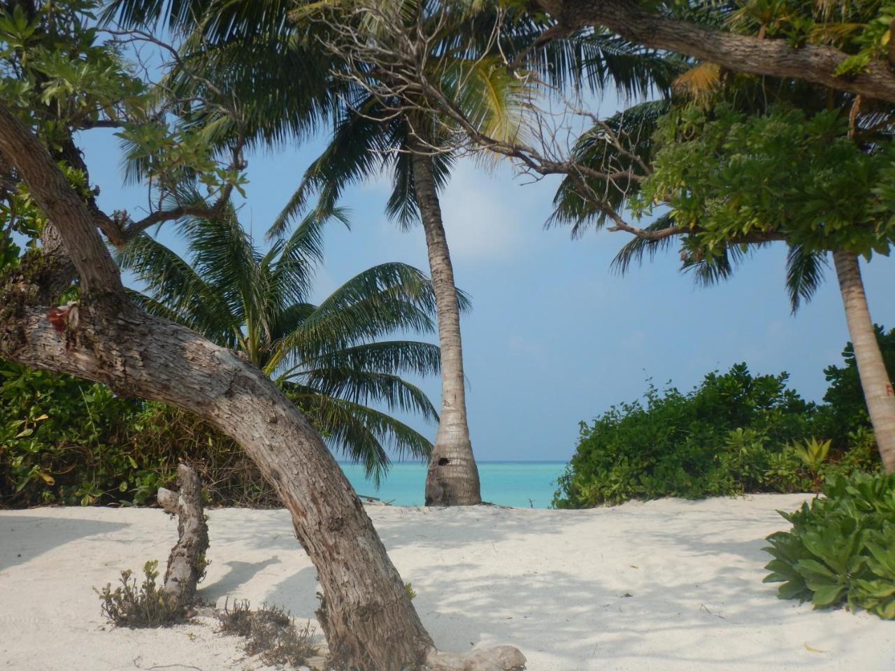 Lagoon Villa Maldives Thoddoo Esterno foto
